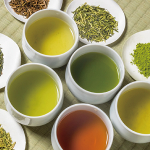 緑茶、紅茶、烏龍茶、それぞれの違いをご存知ですか？